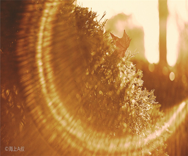 為什么大家喜歡在4月份裝修房子呢？