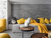 純干貨！家里有寵物的十個裝飾小建議